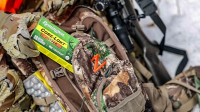 Image showing  RCC30062 30-06 SPRG 150GR CORE-LOKT COPPER HP