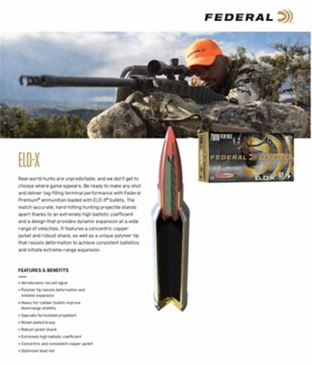 Image showing  243 Win 90 GR ELD-X