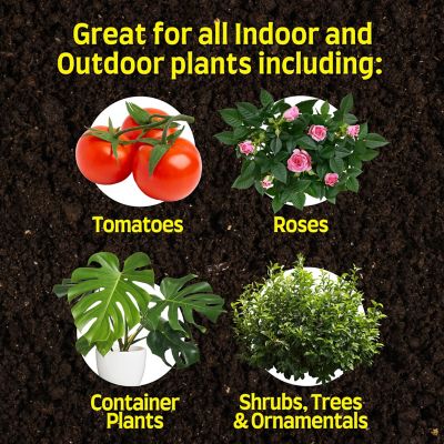 Image showing  Tomato & Vegetable Fertilizer, 3-6-6, 4 lb.