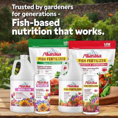 Image showing 6 th Alaska Morbloom Fertilizer, 0-10-10, 1 gal.