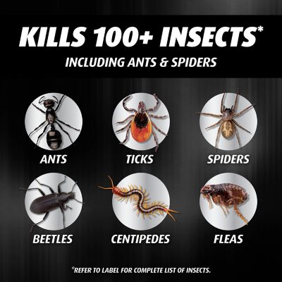 Image showing  Orthene Ant Barrier Granules, 2.5 lb.