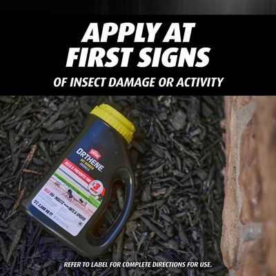 Image showing 7 th Ortho Orthene Ant Barrier Granules, 2.5 lb.