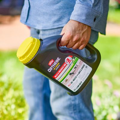Image showing 8 th Ortho Orthene Ant Barrier Granules, 2.5 lb.