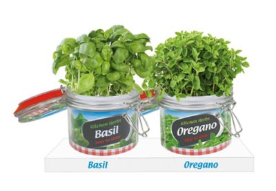 Image showing  Duo Weck Jars Herbs, Basil - Oregano