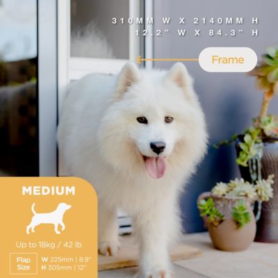 Hakuna Pets V2 Patio Pet Door Screen Insert Panel for Sliding Doors, UV Resistant Mesh, Locking Magnetic Dog Door, Silver