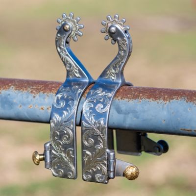 Image showing  Sweet Iron Silver Leaf Spurs