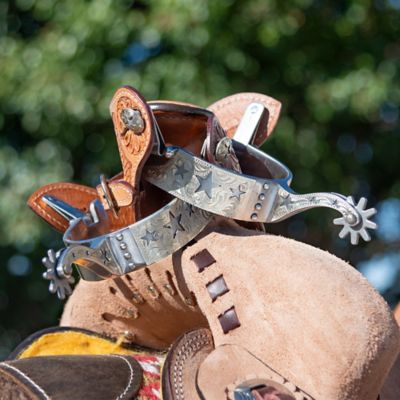 Image showing  Sweet Iron Star Spurs