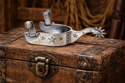 Image showing  Sweet Iron Star Spurs