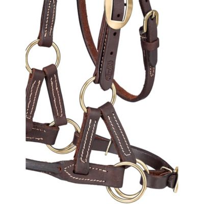 Image showing  Harness Leather Side Pull