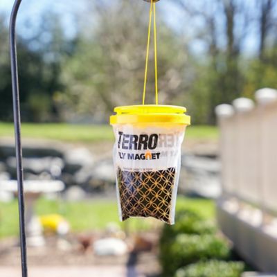 Image showing 7 th TERRO Fly Magnet Disposable Fly Trap