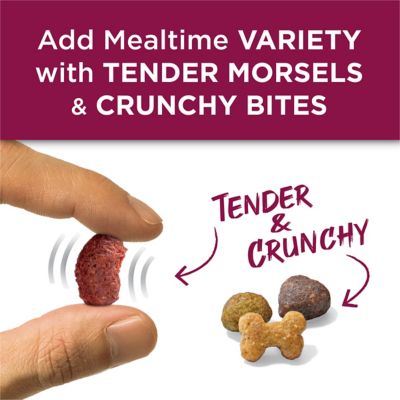 Image showing 6 th Purina Dog Chow Tender & Crunchy Real Lamb & Turkey Dry Dog Food