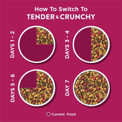 Image showing 8 th Purina Dog Chow Tender & Crunchy Real Lamb & Turkey Dry Dog Food