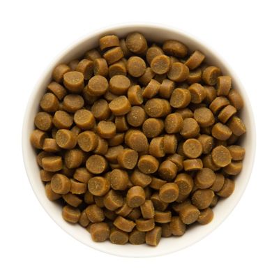 Image showing  Mini Naturals Peanut Butter & Oats Recipe Dog Treats, 16 oz. Bag