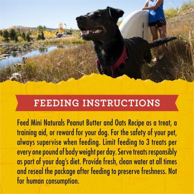 Image showing 7 th Zuke's Mini Naturals Peanut Butter & Oats Recipe Dog Treats, 16 oz. Bag