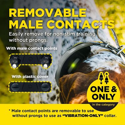 Image showing  1900X HANDFREE 1-DOG