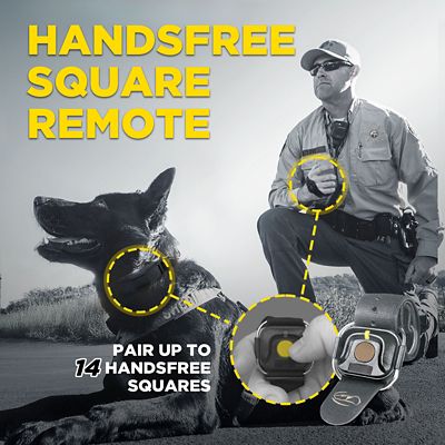 Image showing  1900X BLACK EDITION