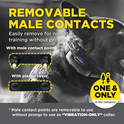 Image showing  1900X BLACK EDITION