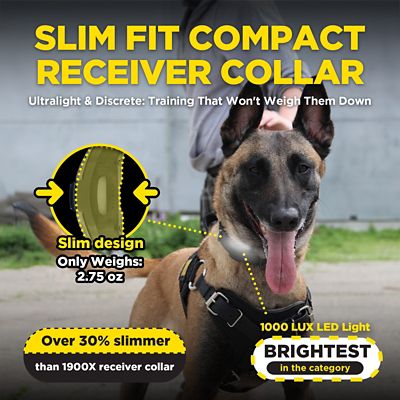 Image showing 7 th Dogtra ARC-X ADDITIONAL RECEIVER