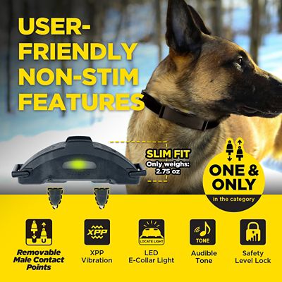 Image showing 9 th Dogtra ARC-X ADDITIONAL RECEIVER