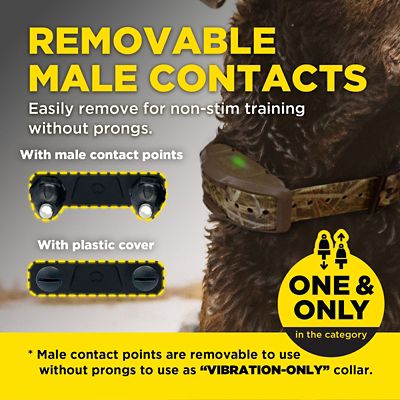 Image showing  1900X CAMOUFLAGE