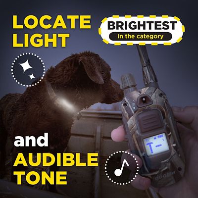 Image showing  1900X CAMOUFLAGE