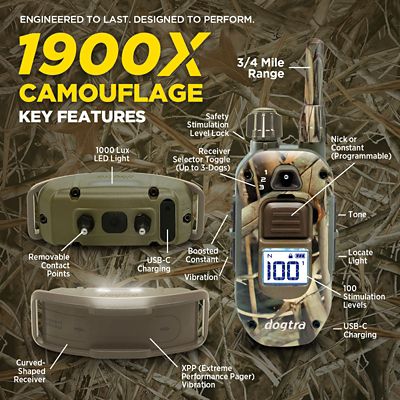 Image showing  1900X CAMOUFLAGE