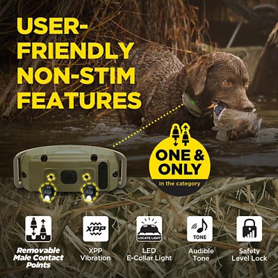 Image showing 5 th Dogtra 1900X CAMOUFLAGE