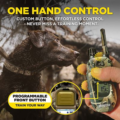 Image showing 9 th Dogtra 1900X CAMOUFLAGE