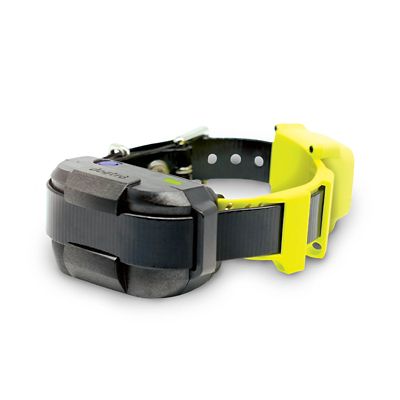 Image showing  GPS Fence