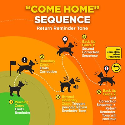 Image showing 8 th Dogtra GPS Fence