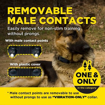 Image showing 8 th Dogtra ARC-X 1-DOG UNIT