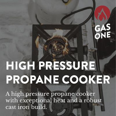 Image showing  Low Profile Double Propane Burner