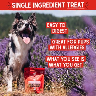 Image showing  Freeze-Dried Raw Chicken Heart Dog Treats