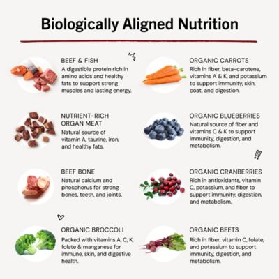 Image showing 8 th Stella & Chewy's Surf N Turf Dinner Patties Freeze-Dried Raw Dog Food