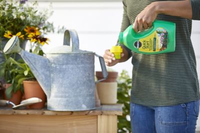 Image showing  4.06 lb. 150 sq. ft. Quick Start Planting and Transplant Starting Solution