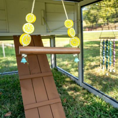 Image showing  Wooden Lemon Chicken Swing