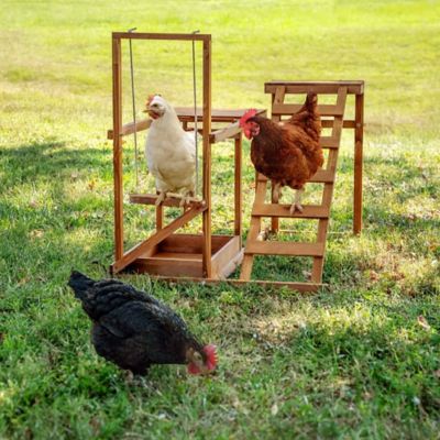 Image showing  Wooden Chicken Playground