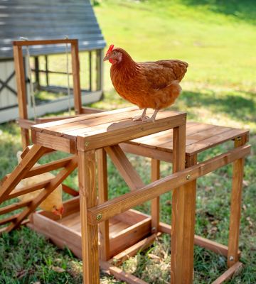 Image showing  Wooden Chicken Playground