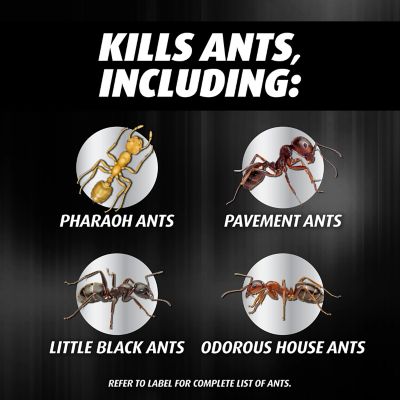 Image showing  Orthene Ant Killer Ant Bait, 8 Stations