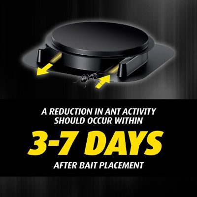 Image showing 6 th Ortho Orthene Ant Killer Ant Bait, 8 Stations