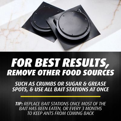 Image showing 7 th Ortho Orthene Ant Killer Ant Bait, 8 Stations