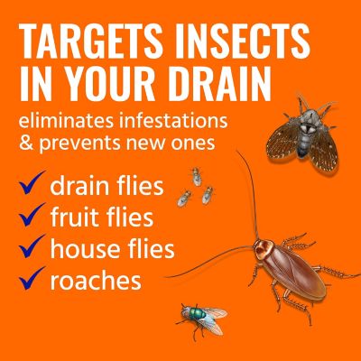 Image showing  8 oz. Drain Insect Killer Spray