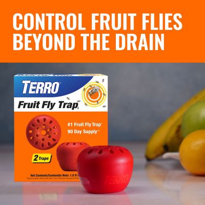 Image showing 7 th TERRO 8 oz. Drain Insect Killer Spray