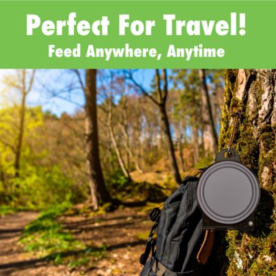 Image showing  2 in 1 Pet Bowl