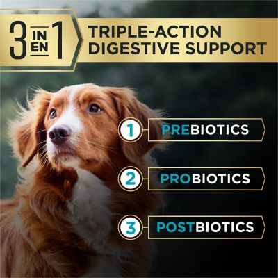 Image showing  AdvantEDGE Digestive Support Adult Large Breed Salmon & Oatmeal