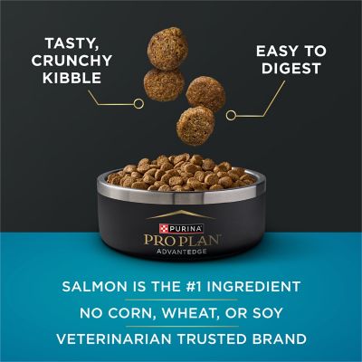 Image showing  AdvantEDGE Digestive Support Adult Small Breed Salmon & Oatmeal