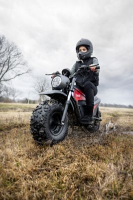 Image showing  60V Lithium Battery-Powered Electric Minibike