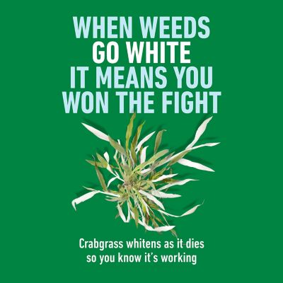 Image showing  Crabgrass Destroyer RTU Trigger .5 GAL