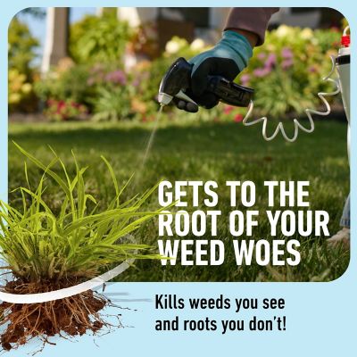 Image showing  Crabgrass Destroyer RTU Trigger .5 GAL