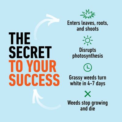 Image showing  Crabgrass Destroyer RTU Trigger .5 GAL